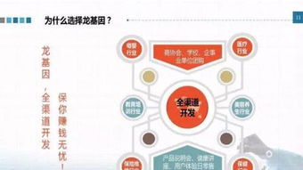 龍基因加盟 實體店培訓成就火爆加盟店，教育信息咨詢助力創業成功